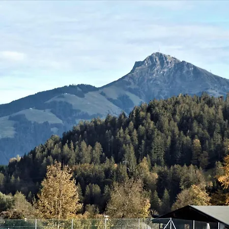 Bergheim Apartman *